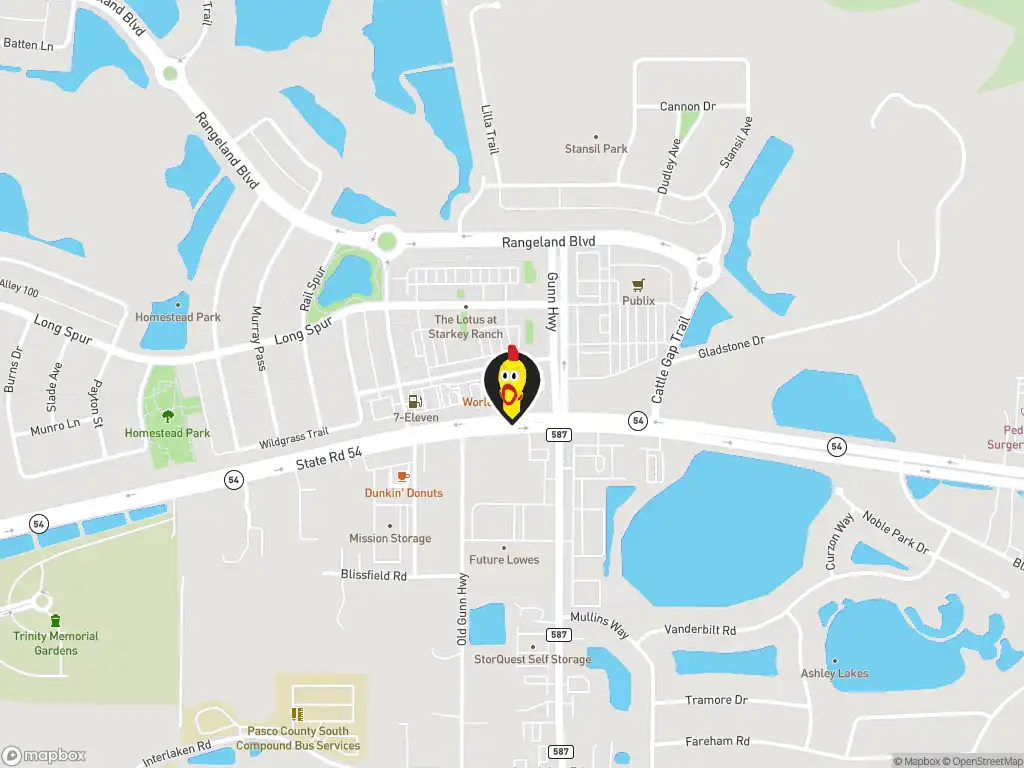 Map image with a marker at Dave's Hot Chicken, 13446 Pine Gap Spur, Odessa, FL, 33556, United States. Click for directions.